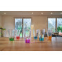 Coffret 6 chopes assorties Optic Color, Léonardo