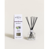 Bouquet parfumé glaçon Terre sauvage, Maison Berger