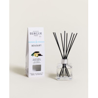 Bouquet parfumé  glaçon Thé vert impérial, Maison Berger