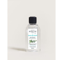 Recharge pour bouquet parfumé Fraîcheur d'Eucalyptus, Maison Berger