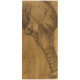 Planche en Chêne Homard 65 x 15 cm, Selbrae House LTD