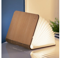 Smart Book Light Natural, Gingko