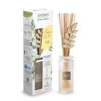 Bouquet parfumé Jasmin d'été, Esteban