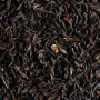 Thé Darjeeling Bio en sachets, Dammann Frères