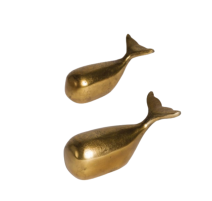 Baleine dorée, Chehoma