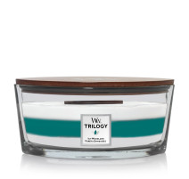 Bougie Ellipse Trilogy Forêts enneigées, Woodwick