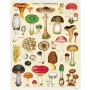 Puzzle 1000 pièces Champignons, Cavallini & Co