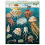 Puzzle 1000 pièces Méduses, Cavallini & Co