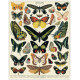 Puzzle 1000 pièces Papillons, Cavallini & Co
