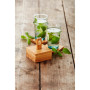 Set de 6 dessous de verre carrés Bambou, Point Virgule