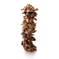 Choco'Box Les Grignotines, Vincent Guerlais