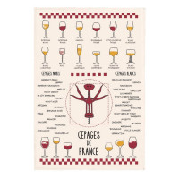 Torchon Vins et Cépages Ecru, Winkler