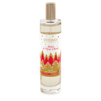 Vaporisateur 75 ml Baies et Fleur d'Hiver, Esteban