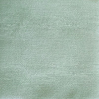 Serviettes en papier Uni Vert sauge, Françoise PAVIOT