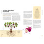 Vin/20, Larousse