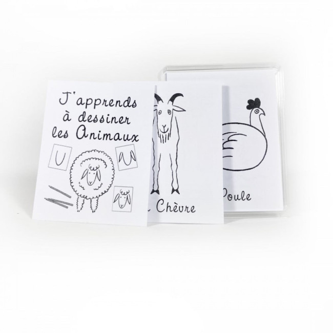 J'apprends à dessiner les animaux, Marc Vidal