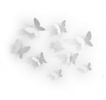 Papillon mural blanc, Umbra