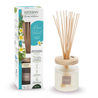 Bouquet parfumé Ellipse Monoï Soleil, Esteban