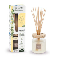 Bouquet parfumé Ellipse Jasmin d'été 200ml, Esteban
