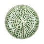 Assiette creuse 20 cm Lotus vert, Pomax