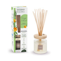 Bouquet parfumé Ellipse Orange et Thé Vert 200ml, Esteban