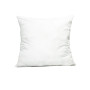 Intérieur de Coussin, Haomy