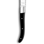 Coffret 4 couteaux steak Royal Noir, Amefa