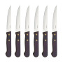 Coffret 6 couteaux steak Arizona, Amefa