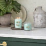 Bougie parfumée Aloe et Agave, Yankee Candle