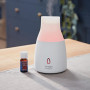 Huile parfumée Cerise Griotte pour Diffuseur ultrasonique, Yankee Candle