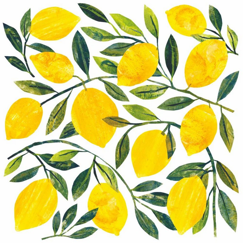 PaperProduct Design - 20 serviettes en papier Tracey's Citronella, PaperProduct Design 33 x 33 cm - PaperProduct Design