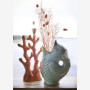 Vase Poisson, Madam Stoltz