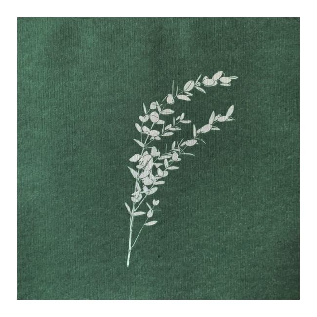 Serviettes en papier Eucalyptus, Françoise PAVIOT
