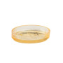 Porte-savon Strié Gold en verre, Andrea House