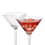 Coffret 6 Verres cocktail Daily, Léonardo