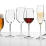 Coffret 6 flûtes à champagne 20 cl Daily, Léonardo