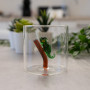 Gobelet 25 cl Lézard Gecko, WD Lifestyle