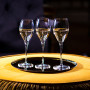 Coffret 6 verres à Champagne 17cl Opale, Lehmann