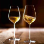 Coffret 6 verres à vin Hommage, Lehmann