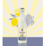 Limonade La Mystique, Les Filles de l'Ouest