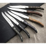 Coffret 6 Couteaux Steak Louis Lou Laguiole®, Amefa