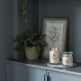 Bougie parfumée Souvenirs d'un week-end en forêt, Yankee Candle