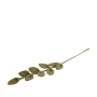 Branche de feuille pointue, Gry & Sif