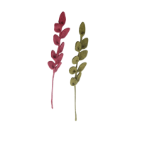 Branche de feuille pointue, Gry & Sif