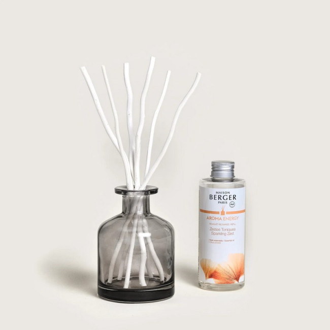 Bouquet parfumé Aroma Energy, Maison Berger
