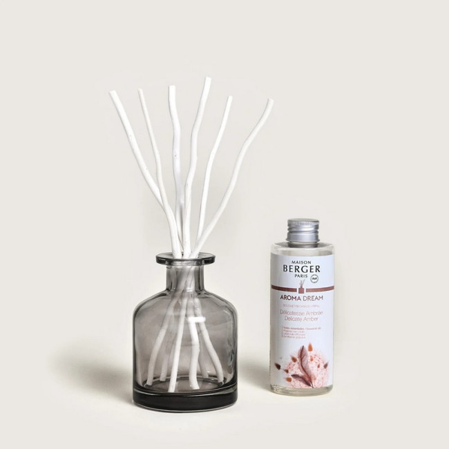 Bouquet parfumé Aroma Dream, Maison Berger