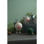 Renne Latte Bumble, Hoptimist