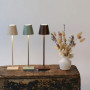 Micro lampe de table Poldina Sage Green, Zafferano