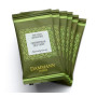 Pochette 6 sachets Christmas Tea Vert, Dammann Frères