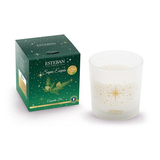 Bougie parfumée 450g Sapin exquis, Esteban